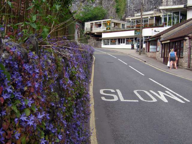 Fotografia
