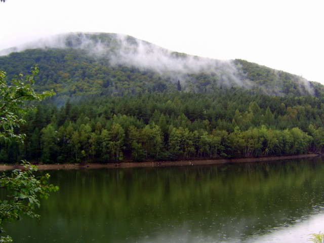 Fotografia